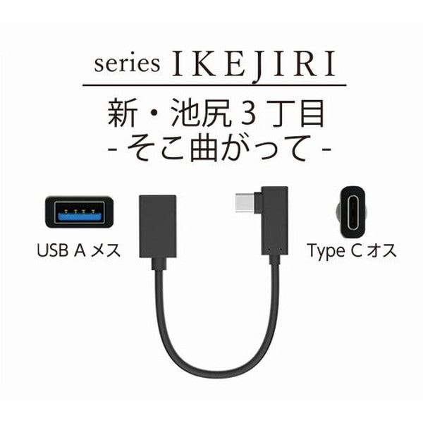 変換ケーブル AREA 世田谷電器 新・池尻３丁目-そこ曲がって- AR-CHOS150L TypeC→USB-A 【キャンセル不可・北海道沖縄離島配送不可】 お取り寄せ