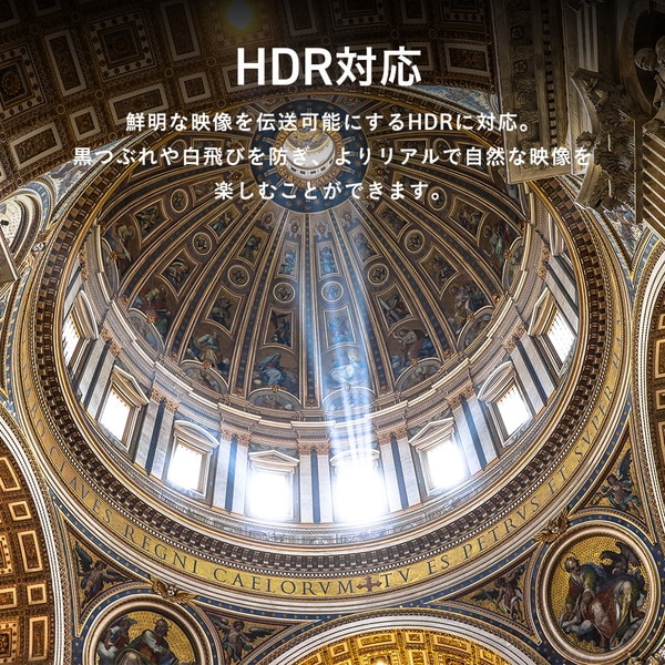 Pixio HDMIケーブル PXH212B White PXH212BW-O 長さ2m HDMI2.1 HDR 8K対応 最大120Hz ホワイト 【キャンセル不可・北海道沖縄離島配送不可】